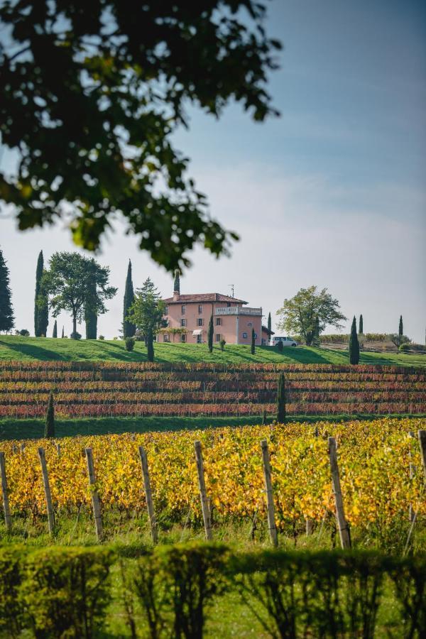Casale In Collina Guest House Capriva del Friuli Екстериор снимка