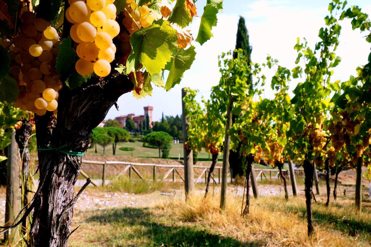 Casale In Collina Guest House Capriva del Friuli Екстериор снимка